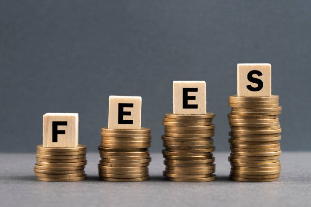 gumroad fees
