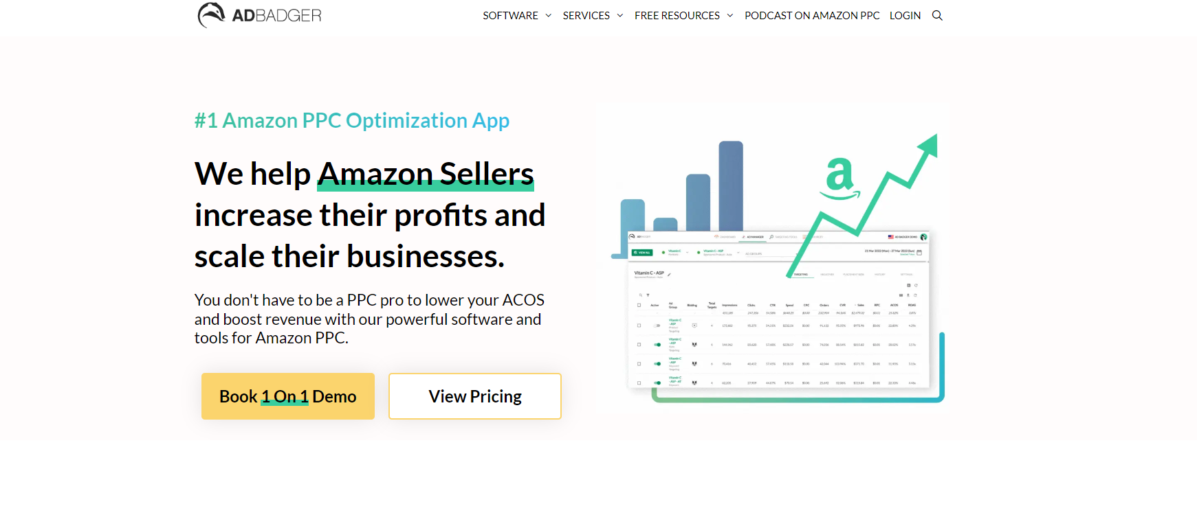 Best Amazon Advertising software